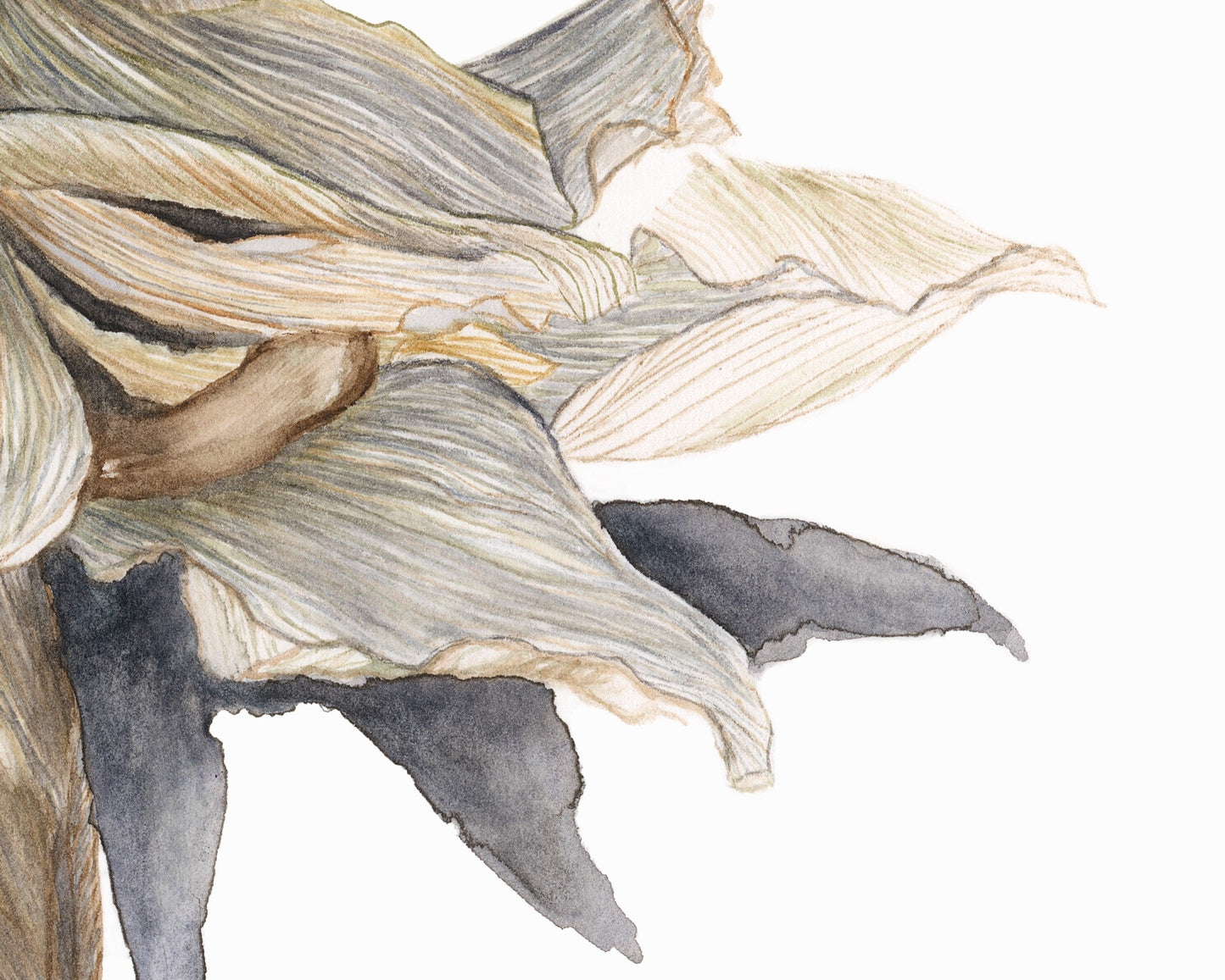 Detail of Cymbidium of November painting.