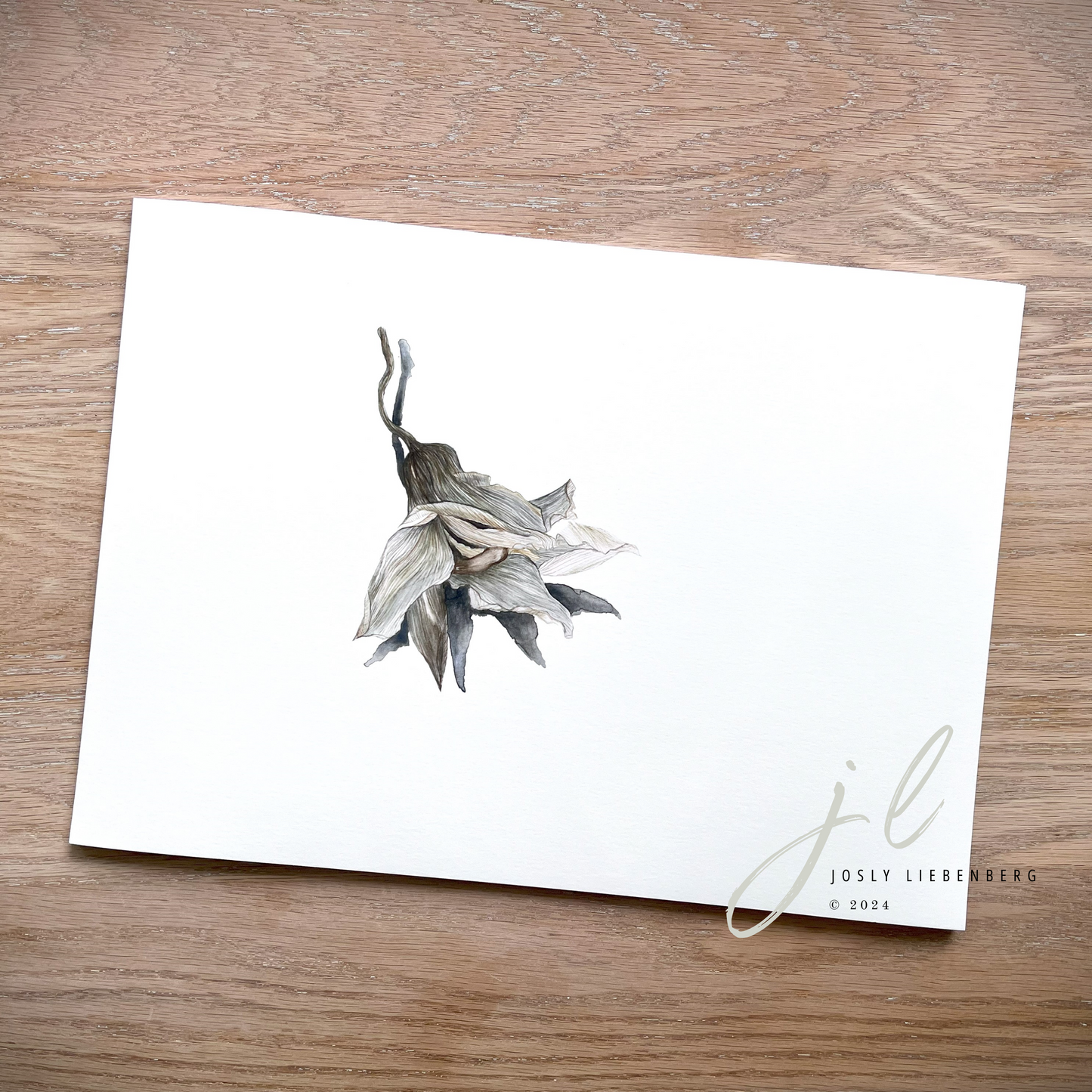 Art print of Cymbidium of November