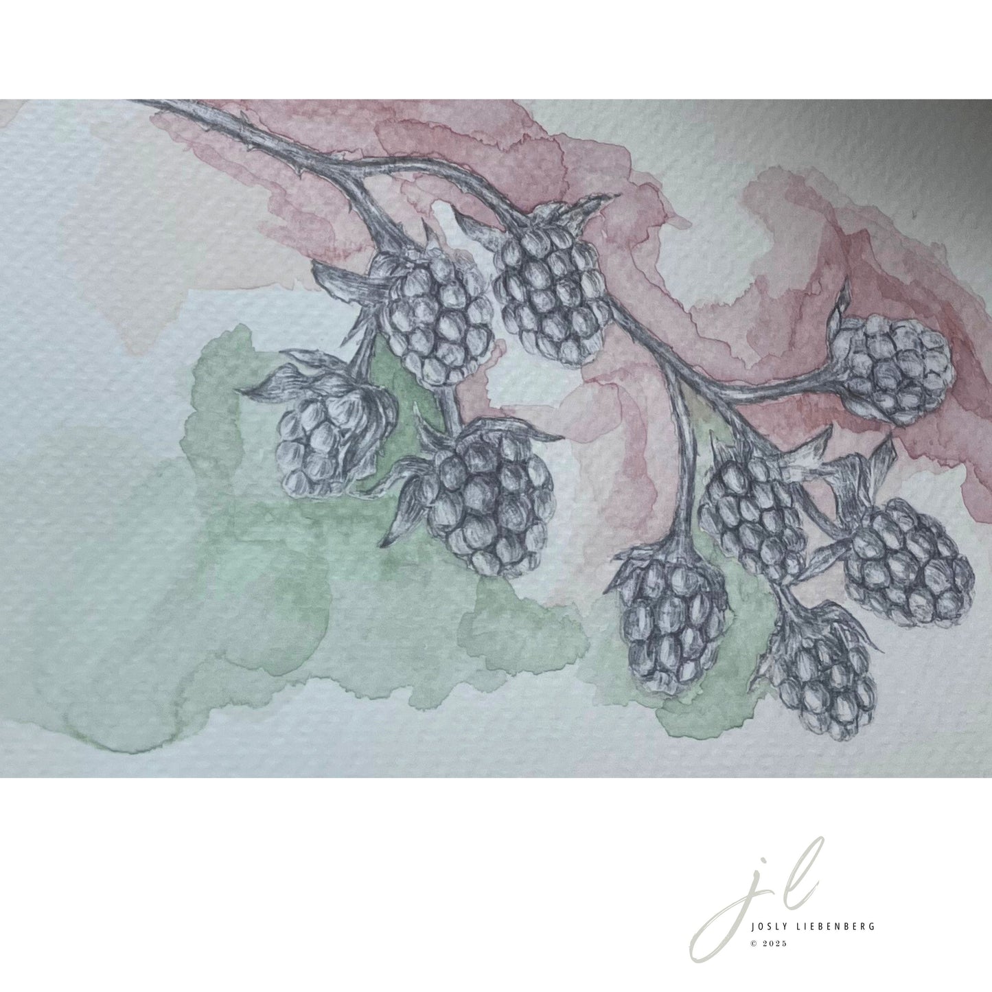 Detail of Ink and watercolour artwork