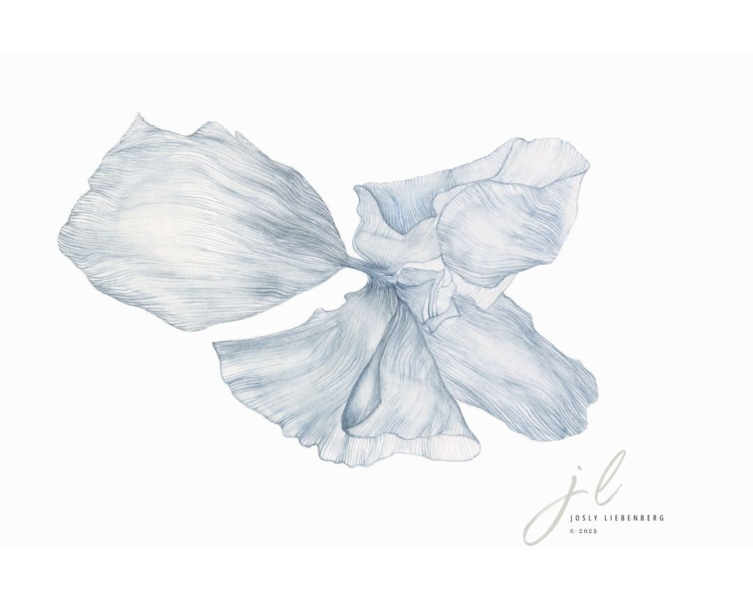 Artistic illustration in blue of a flower on a white background