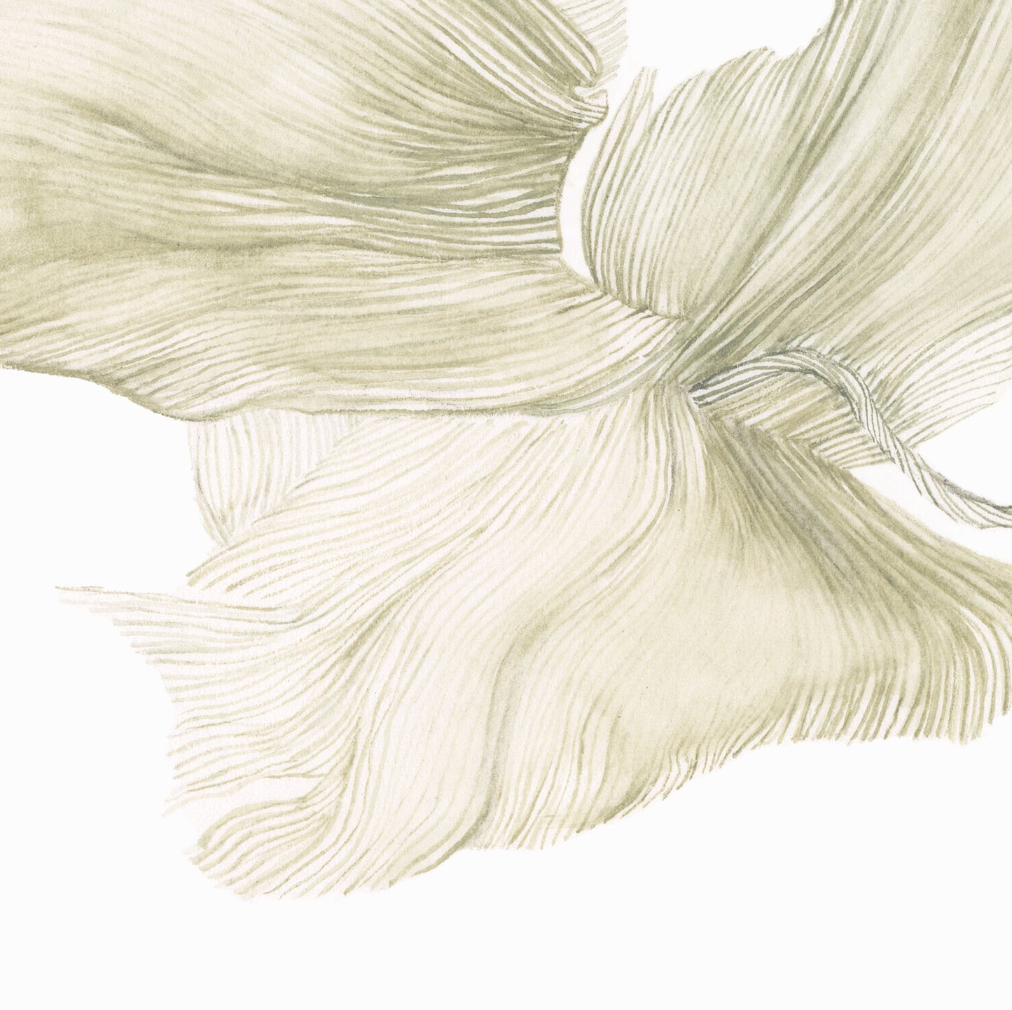 Detail of art print of Orchid eulogy painting.