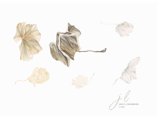 Artistic depiction of wilted flowers on a white background with a signature at the bottom right corner.