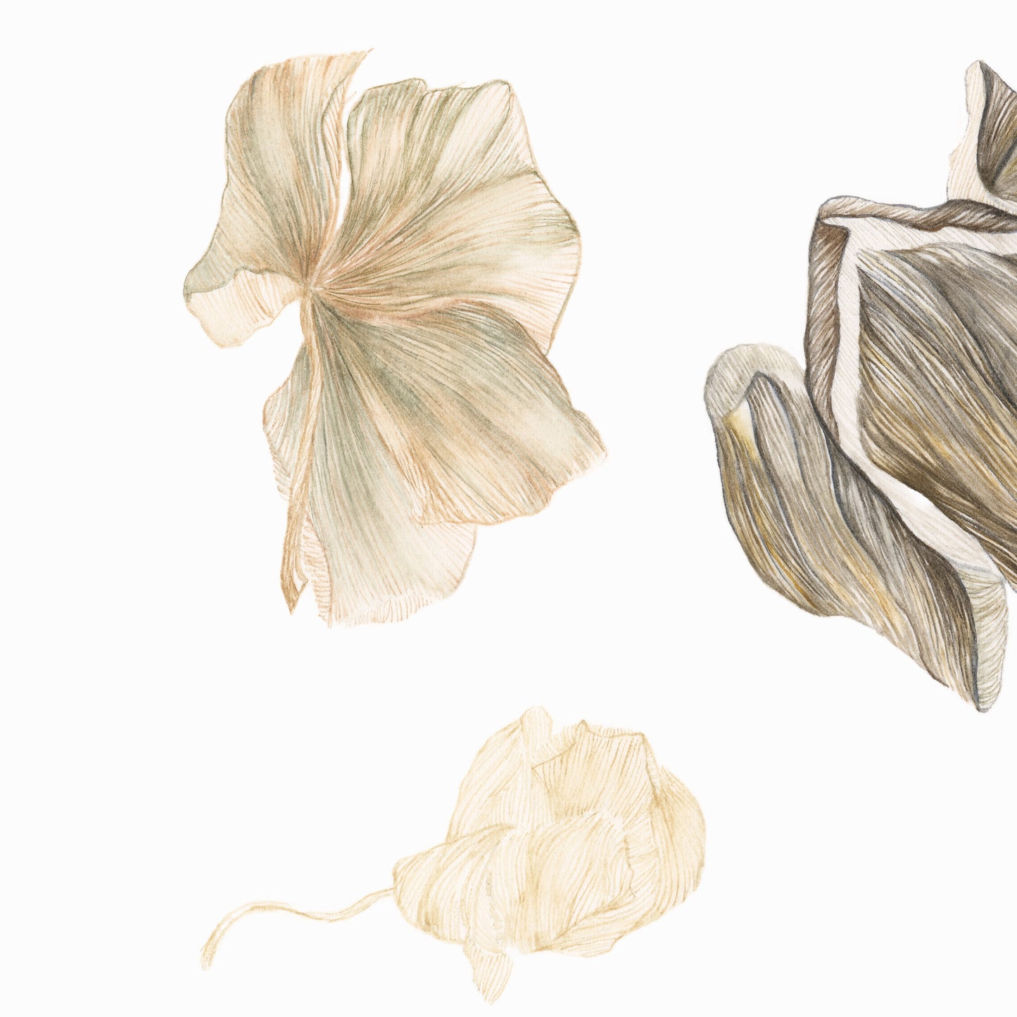 Detail of art print of Blossomed painting.