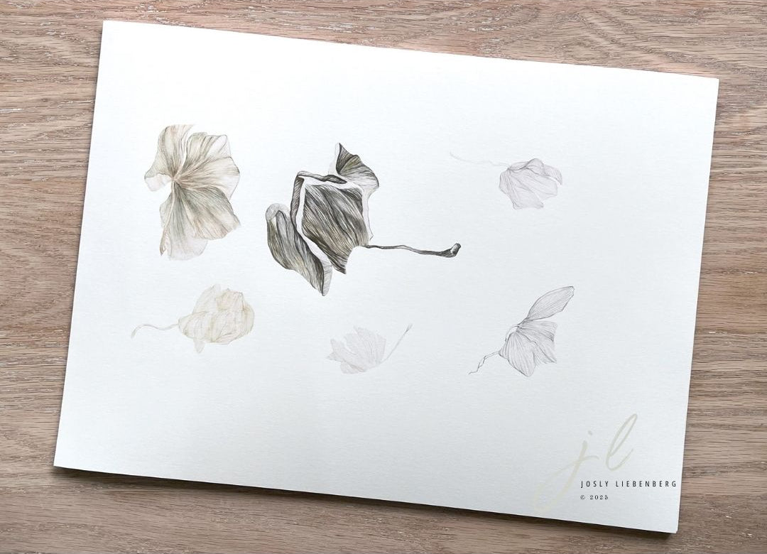 Botanical study of wilted flowers. Blossomed n a wooden surface.