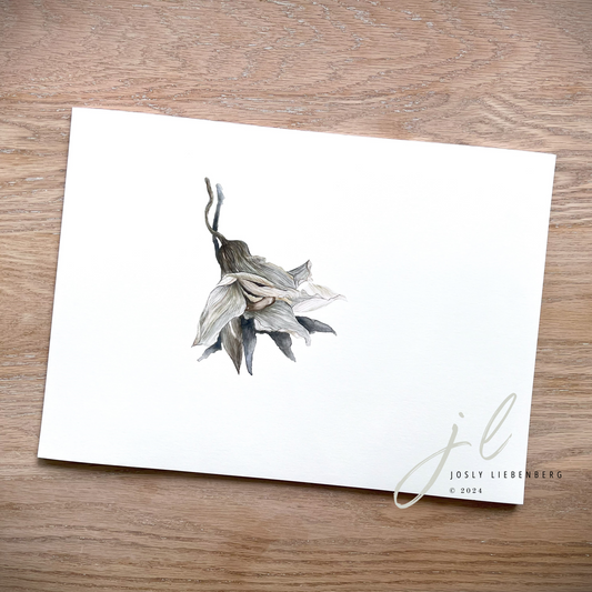 Art print of Cymbidium of November