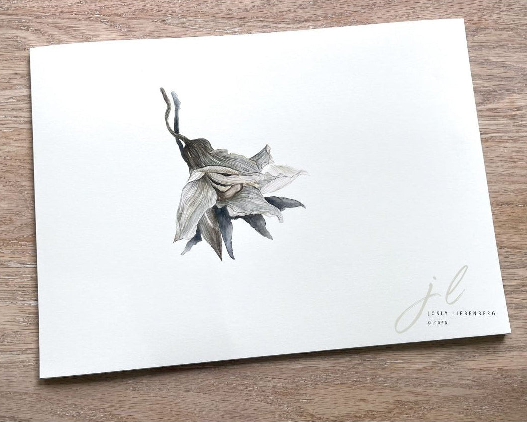 Cymbidium of November on wooden surface