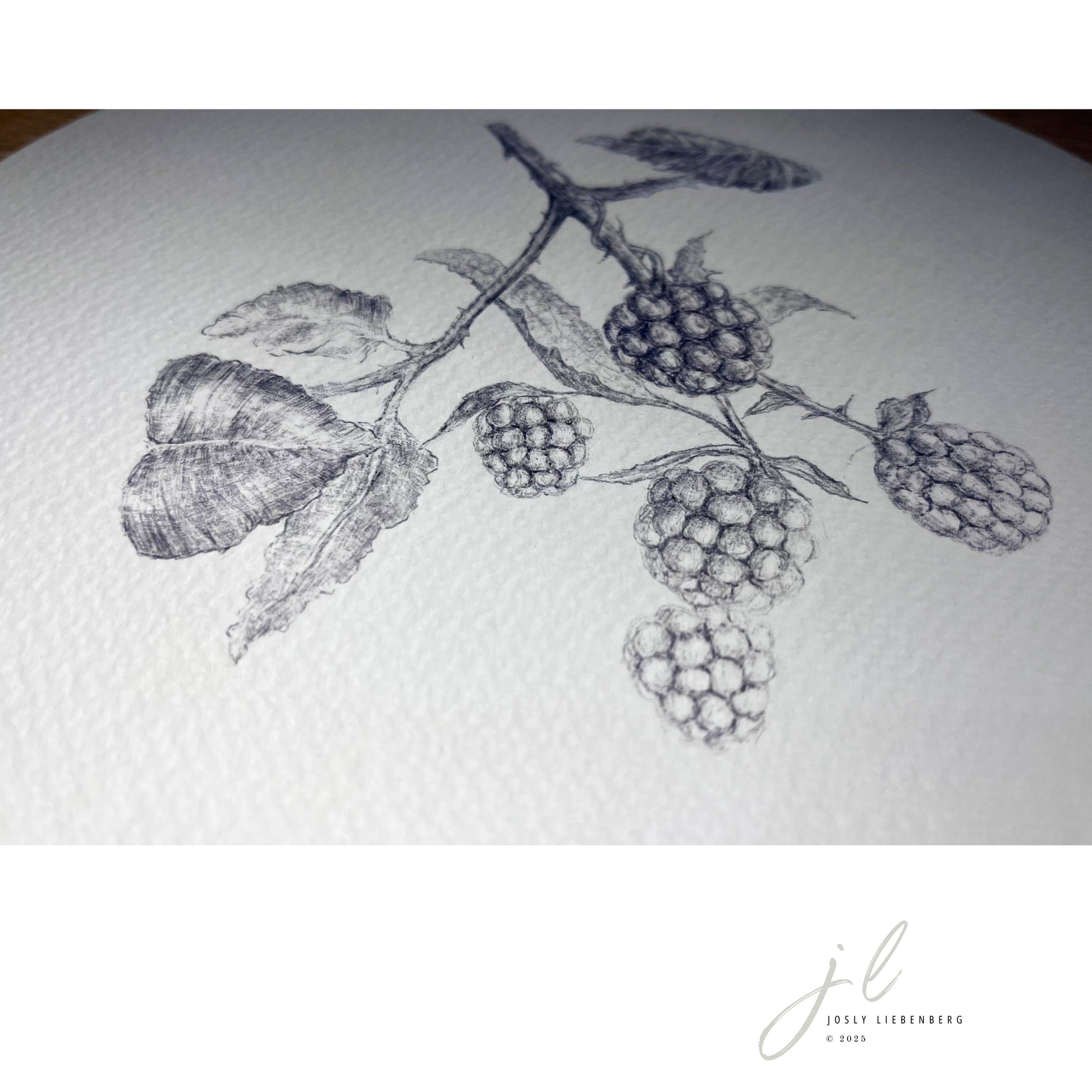 Detail of ink on Fabriano artwork