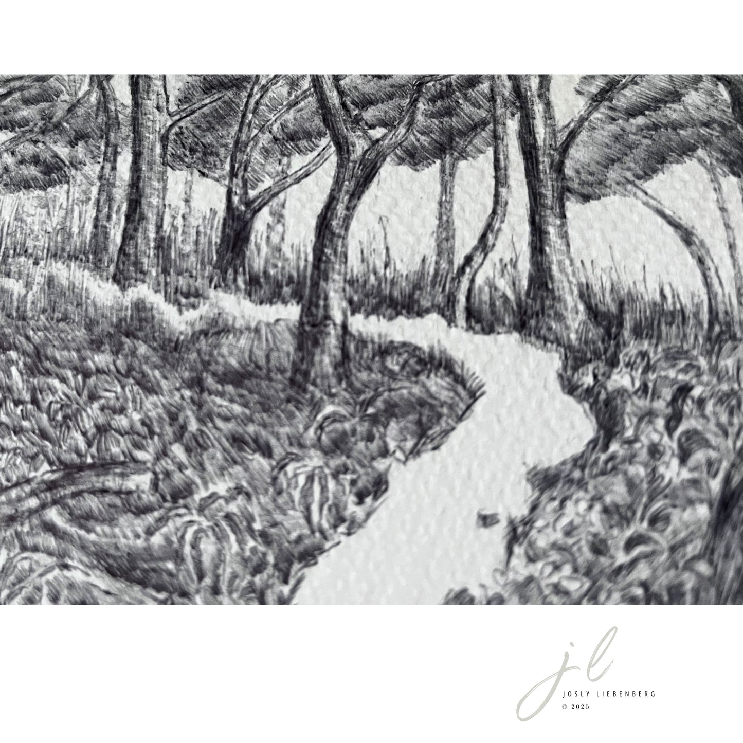 Detail of ink on paper artwork