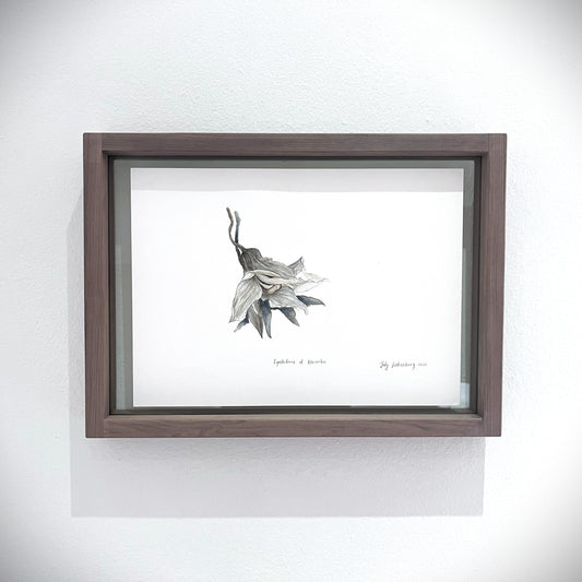 Front view of framed painting, Cymbidium of November.