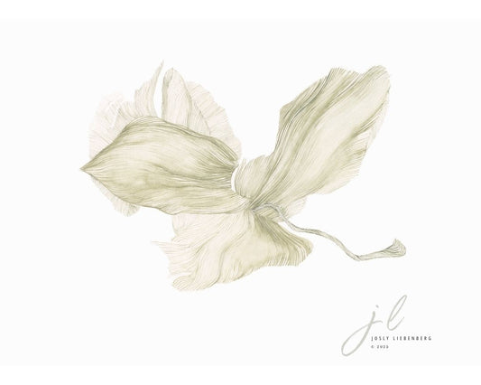 Illustration of a white flower with green accents on a light beige background, signed 'jl'.
