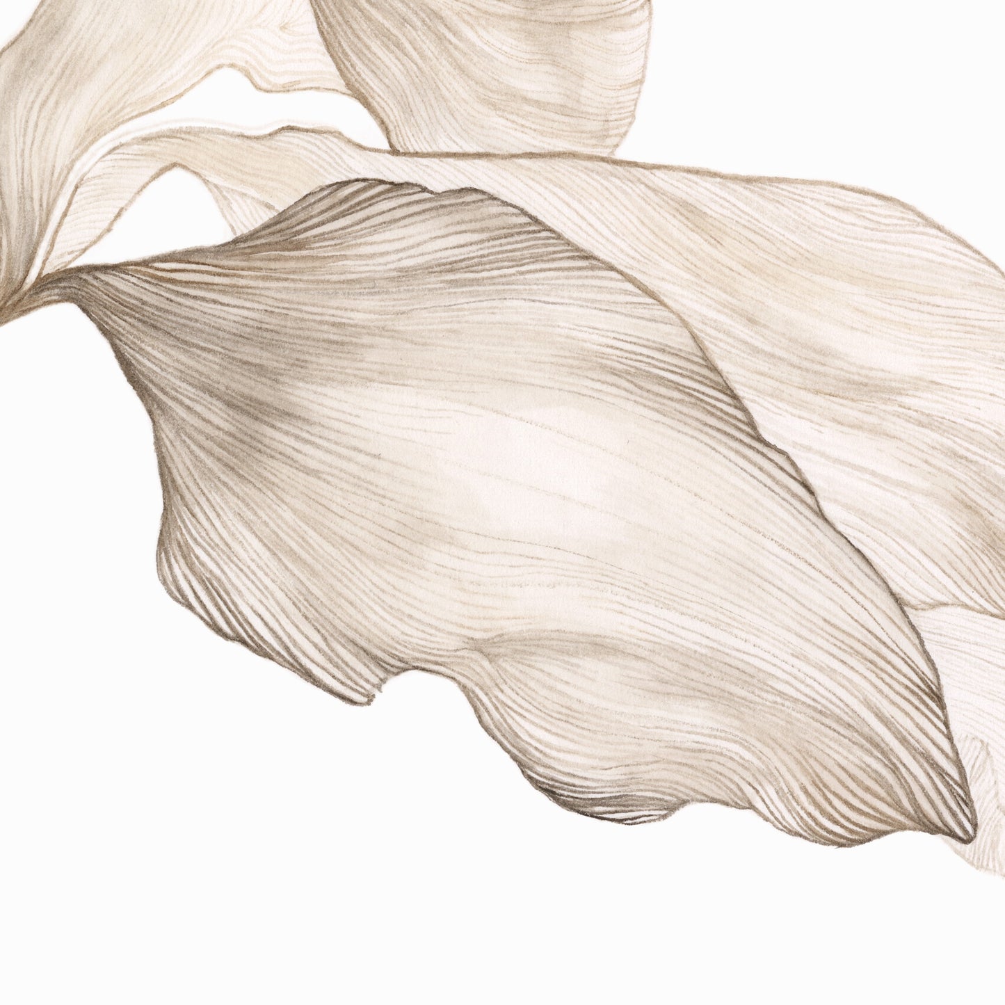 Detail of art print of Yesterday's petals painting.