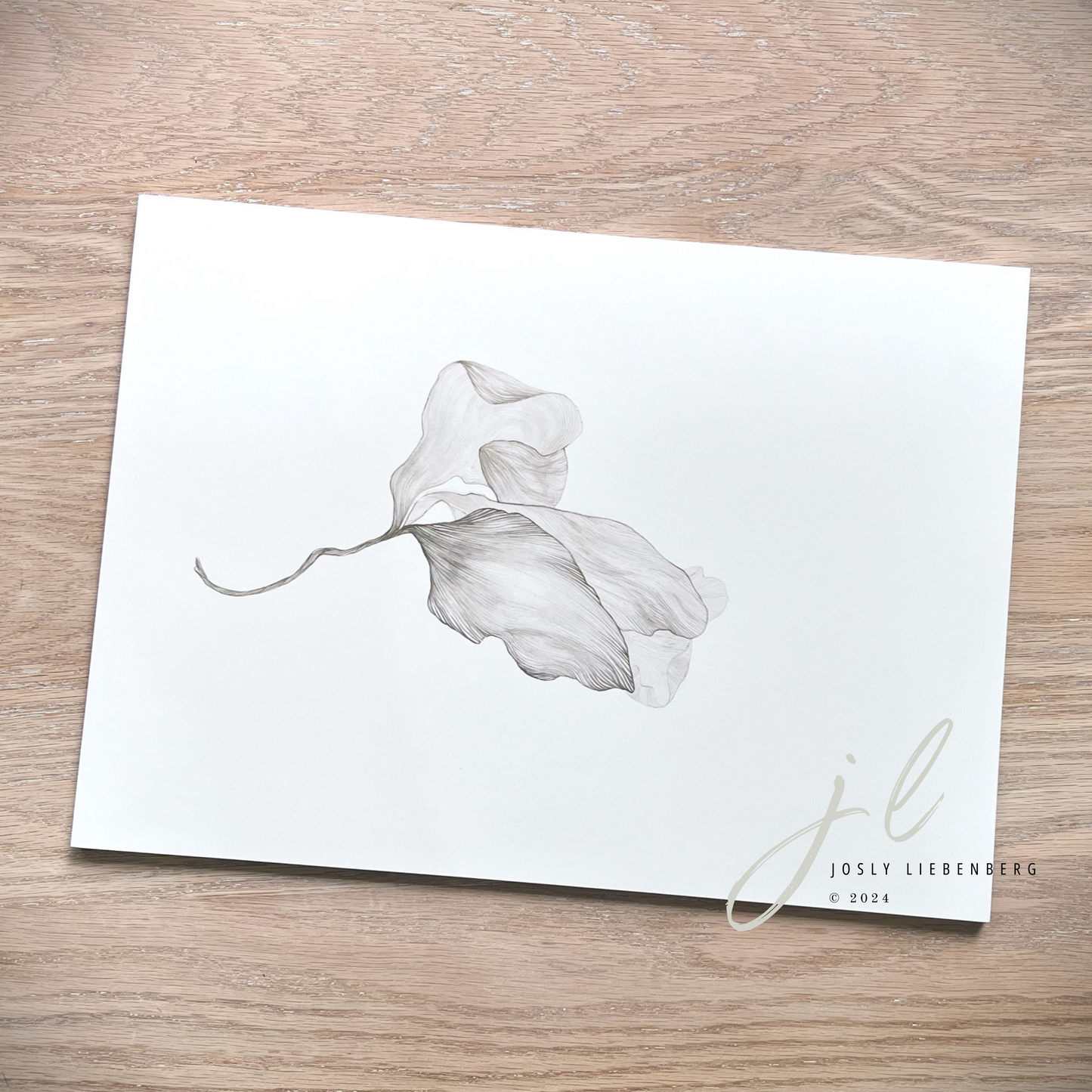 Art print collection of Blossomed + Yesterday's petals