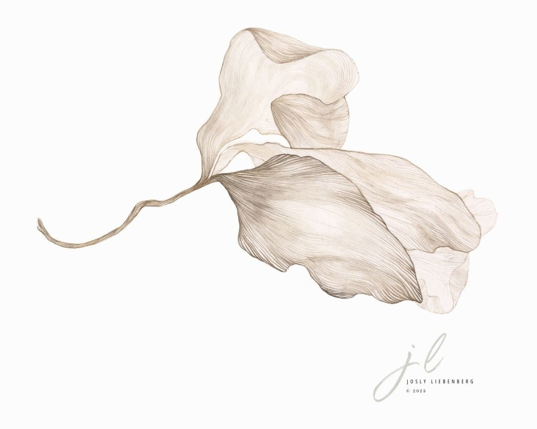 Artistic depiction of wilted petals on a white background.